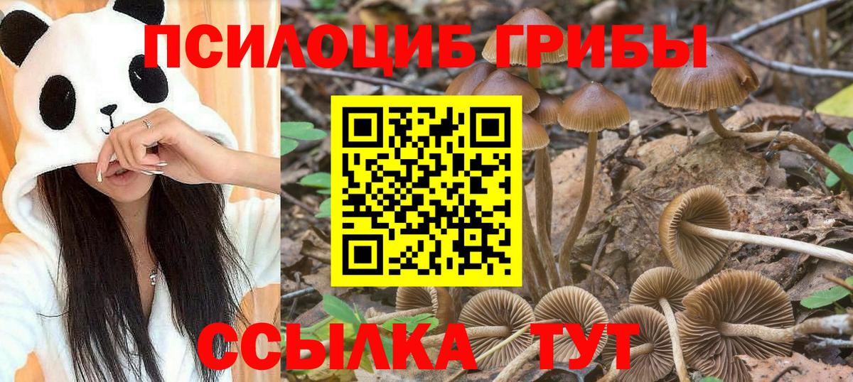 Псилоцибиновые грибы мухоморы  Вход с VPN  Галлюциногенные грибы Magic Shrooms  Грязи 