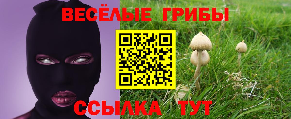 Галлюциногенные грибы Psilocybe Грязи